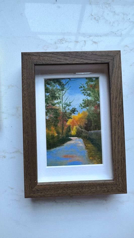Sunlit Path