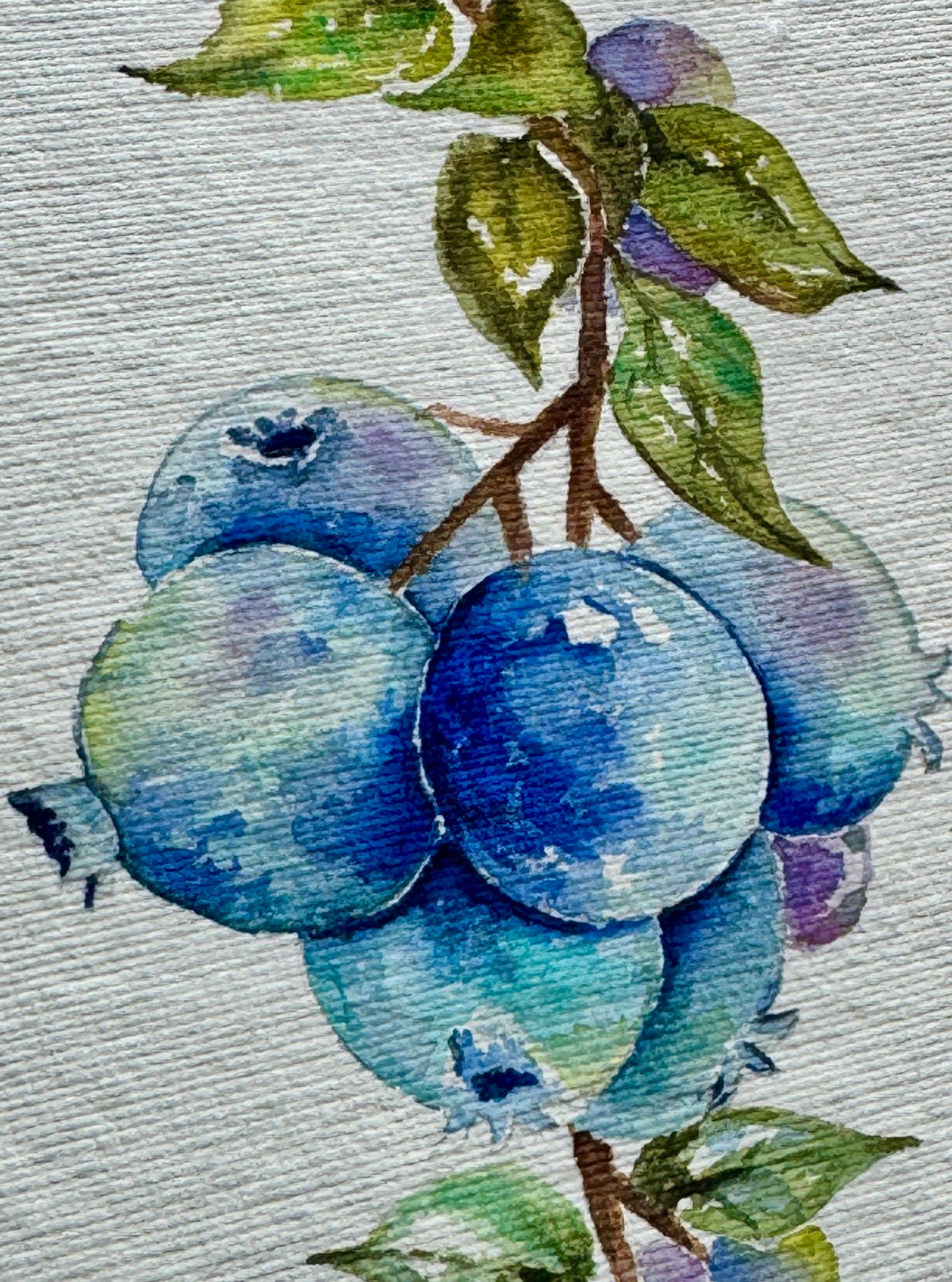 Blueberries