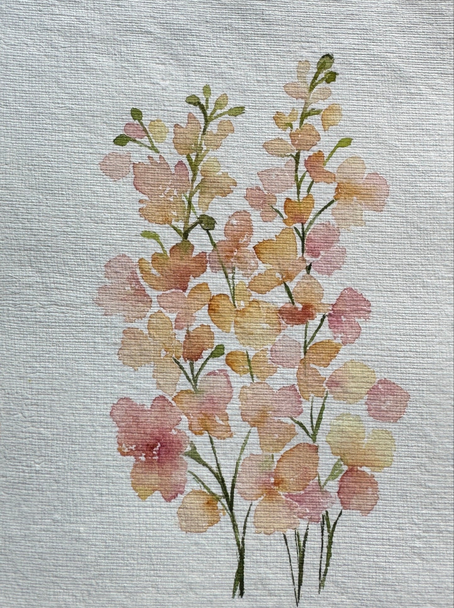 Snapdragons