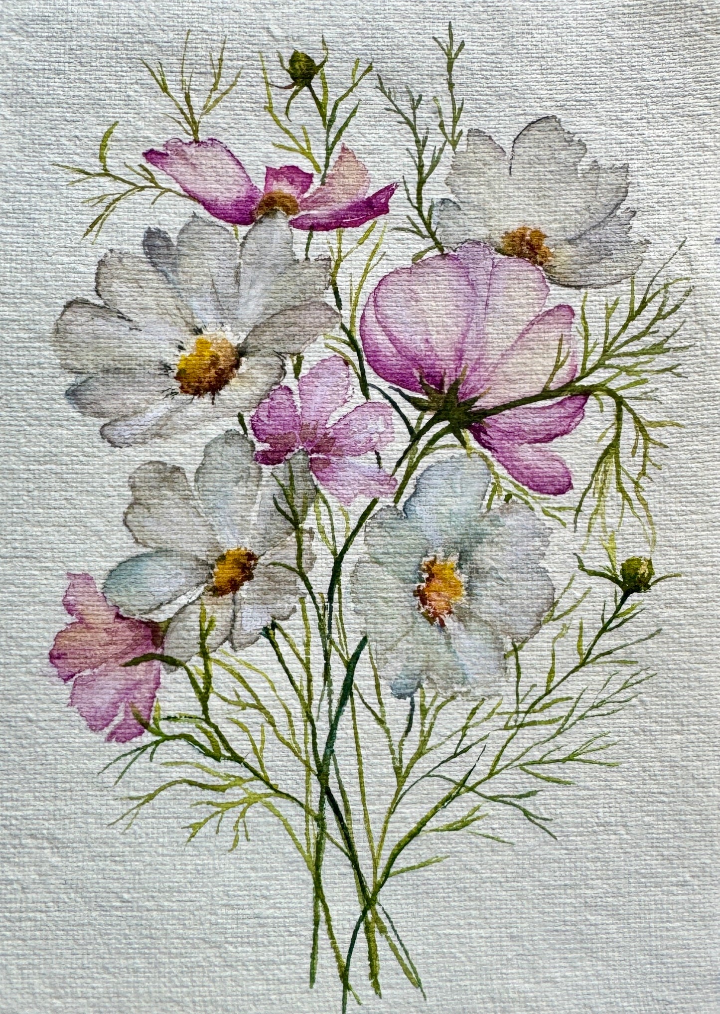 Cosmos