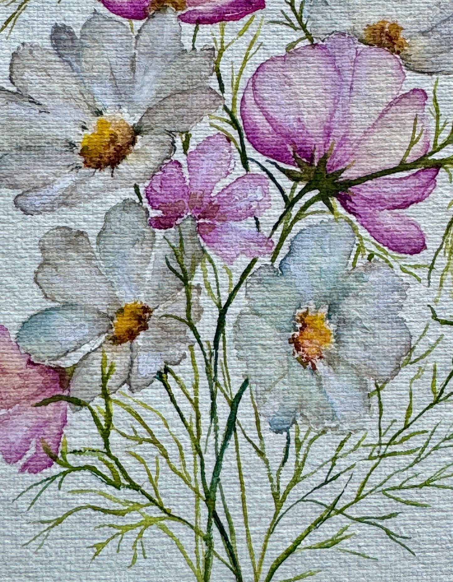 Cosmos