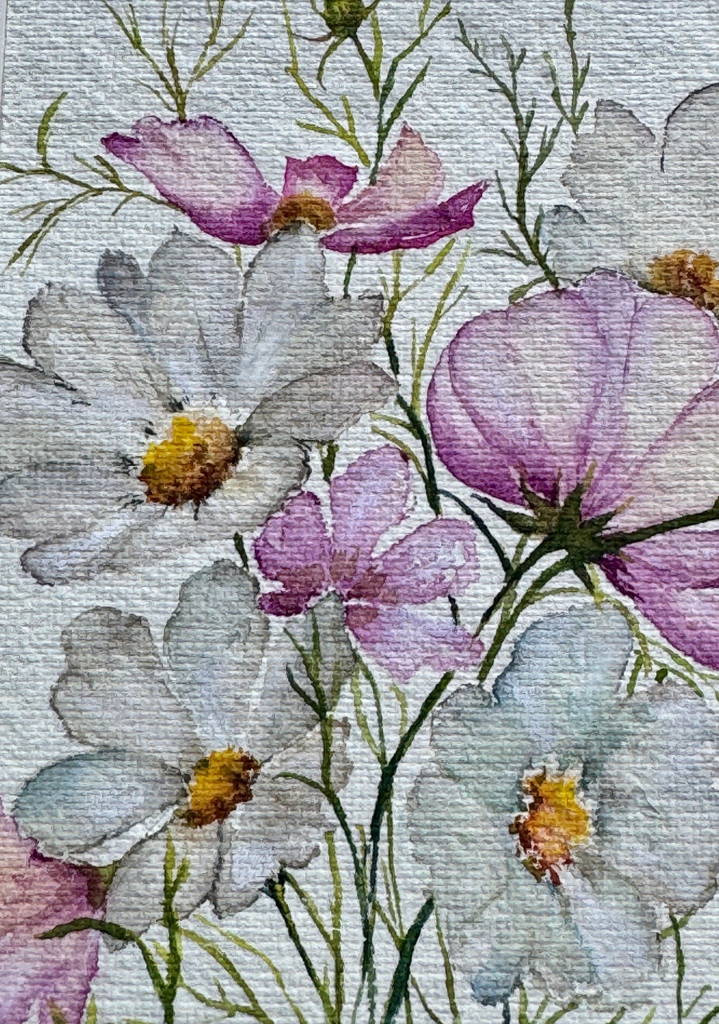 Cosmos