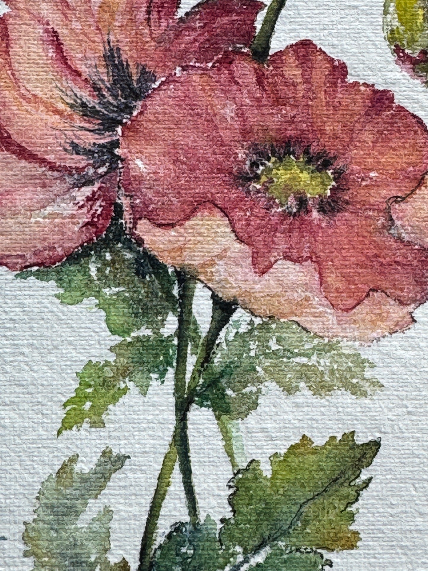 Close-up of a watercolor painting of a pink flower with green leaves on a textured white background.