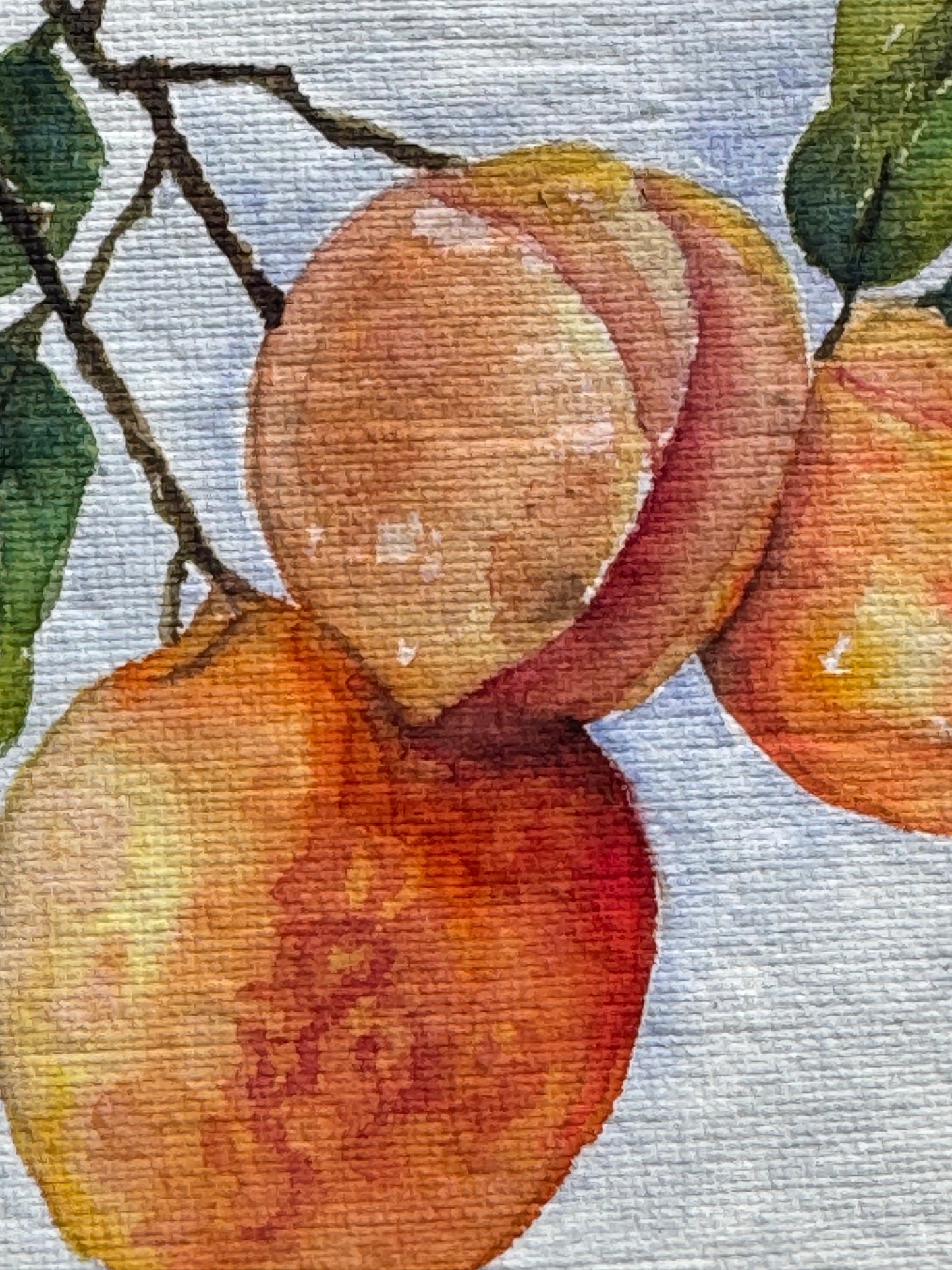 Peaches