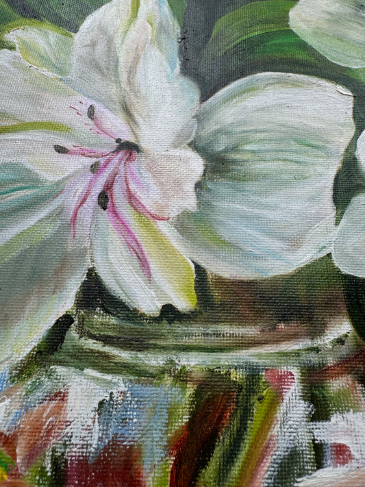 Lillies