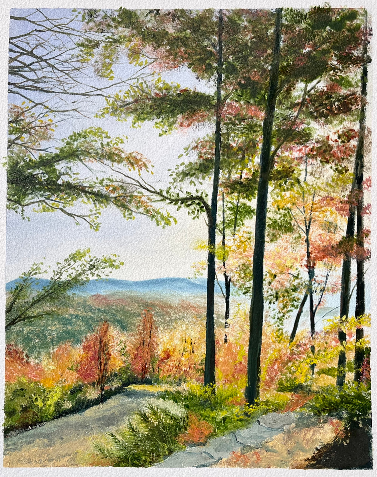 Lake Toxaway, NC