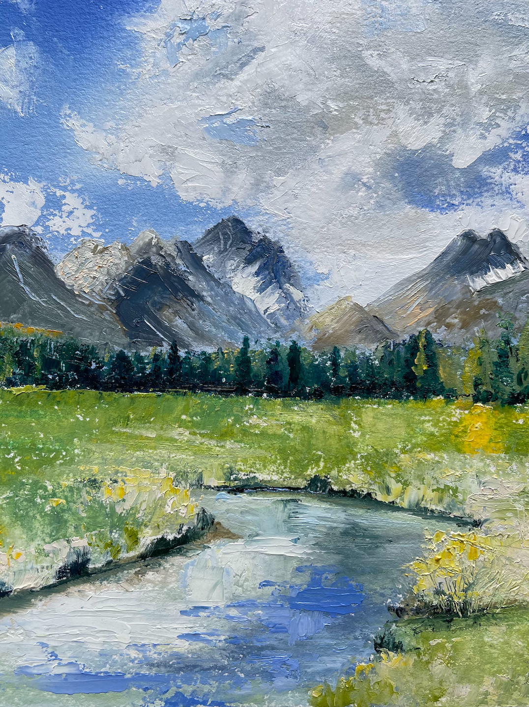Fishhook Creek, Stanley Idaho