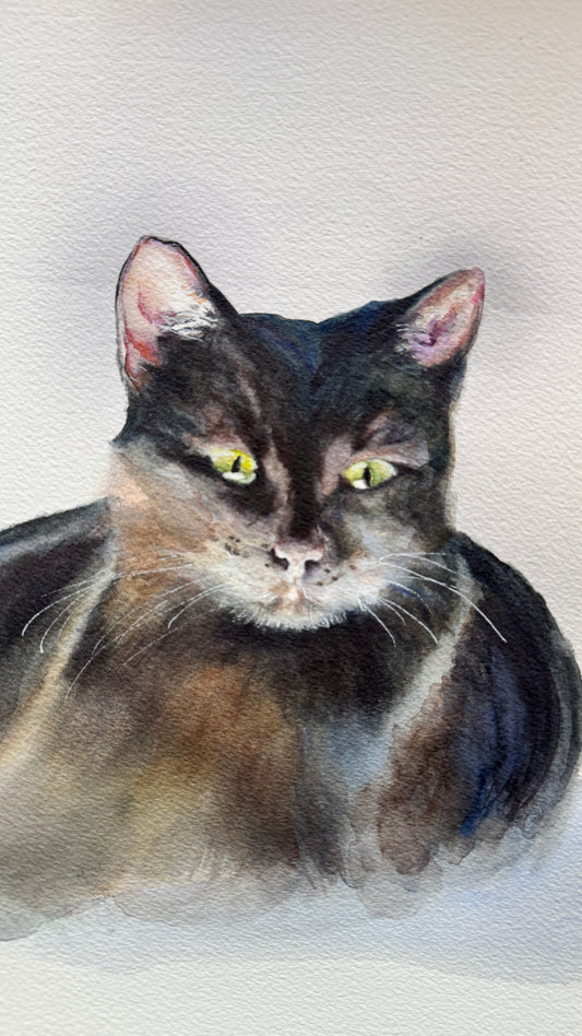 Custom Pet Commission