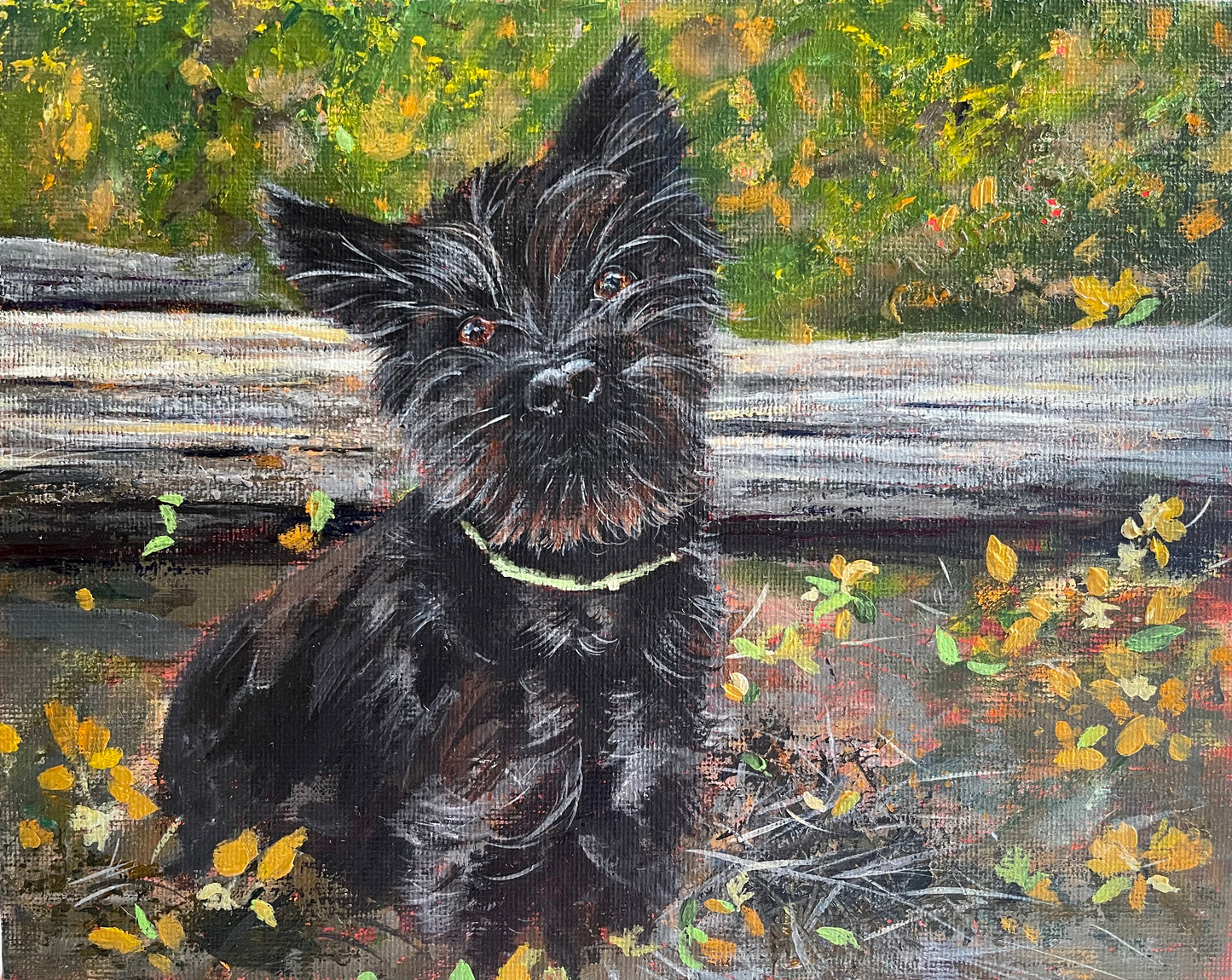 Custom Pet Commission