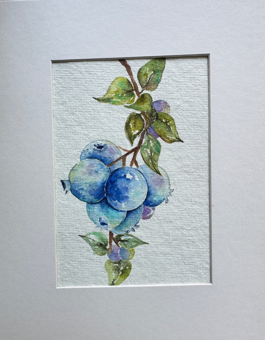 Blueberries