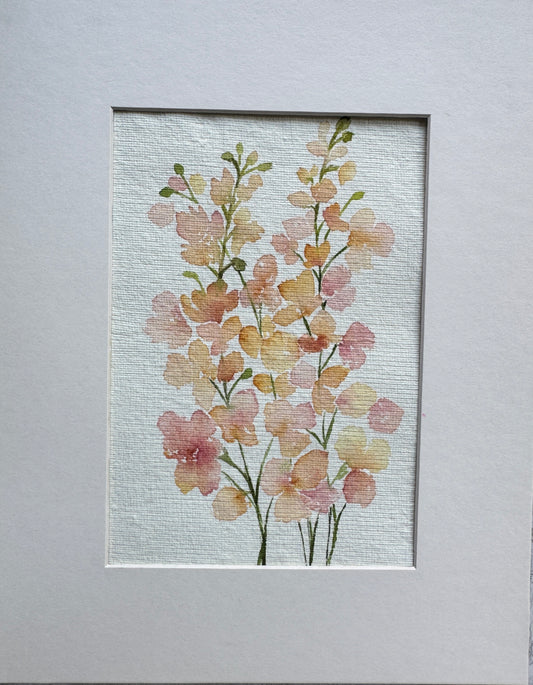Snapdragons