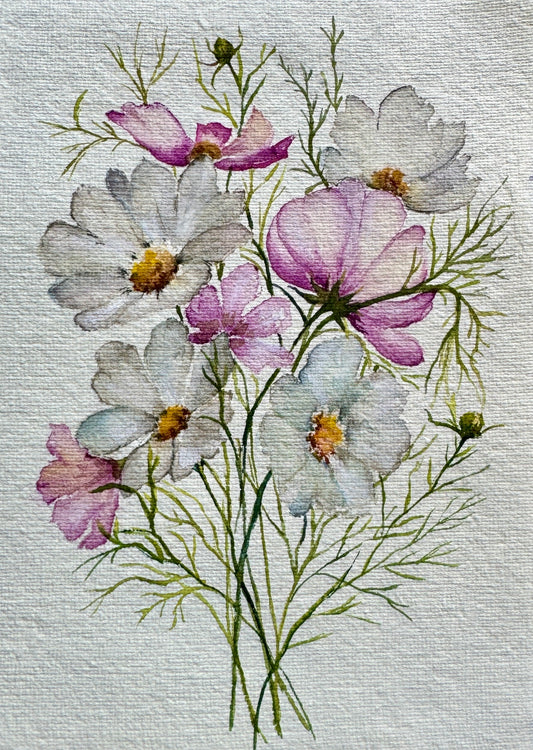 Cosmos