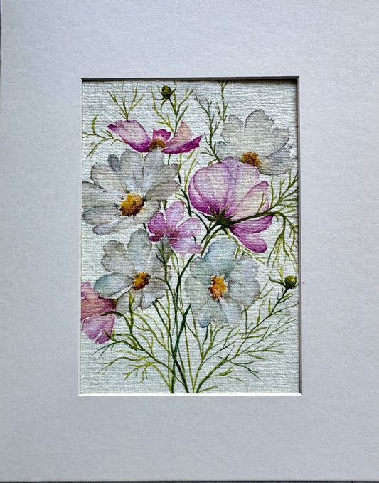 Cosmos
