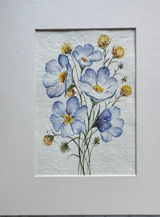 Blue Buttercup