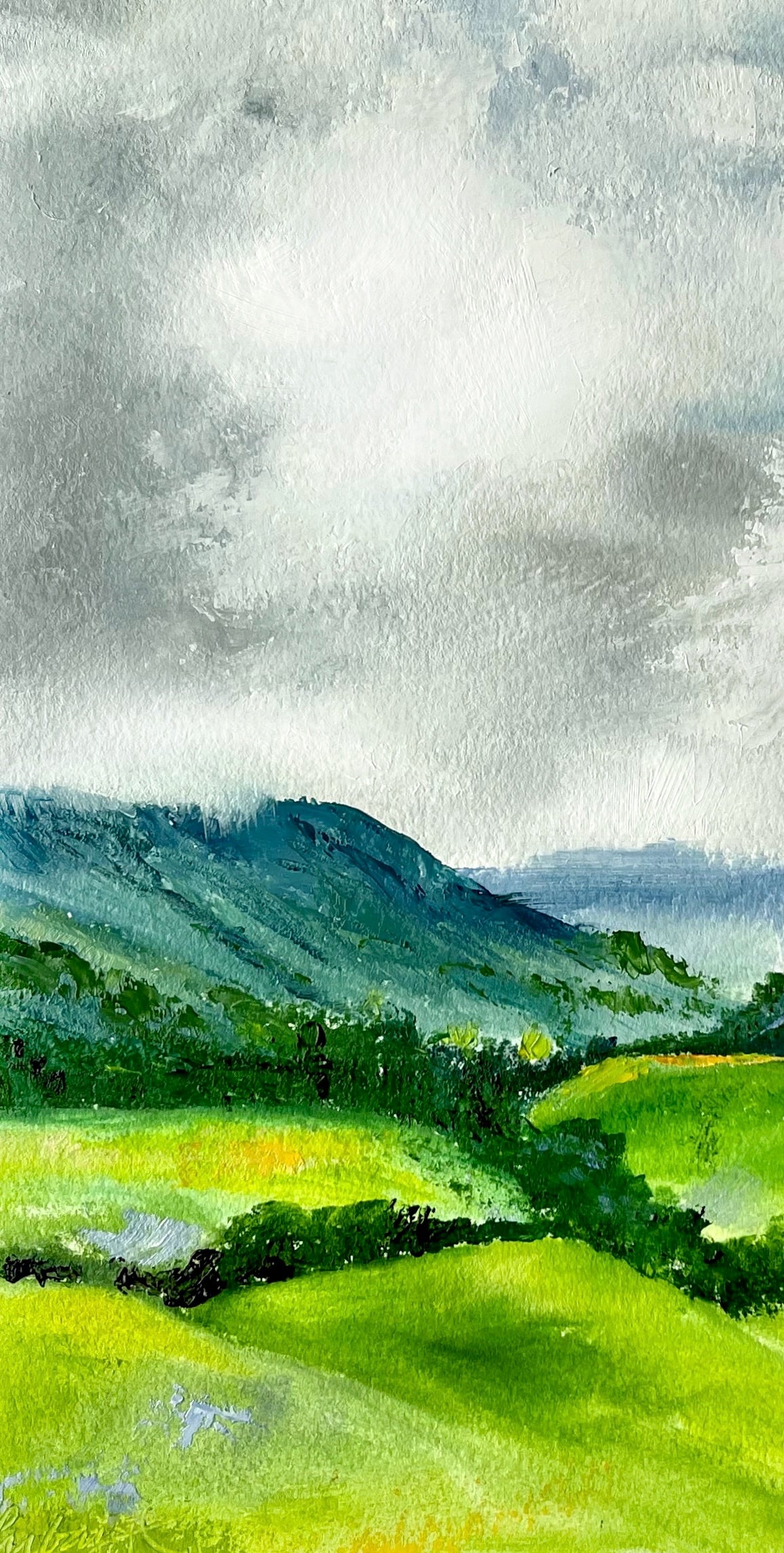 Valle del Cocora-Colombia